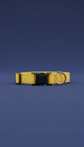 Bright Yellow Adjustable Dog Collar